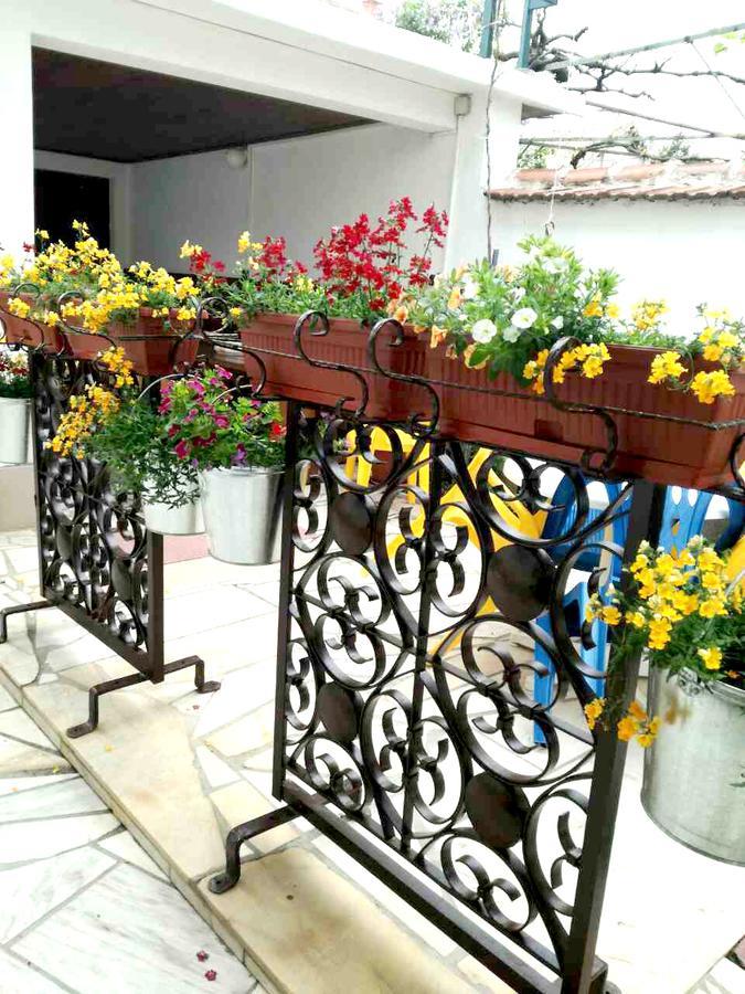 פאבל באניה Family Hotel Rose מראה חיצוני תמונה